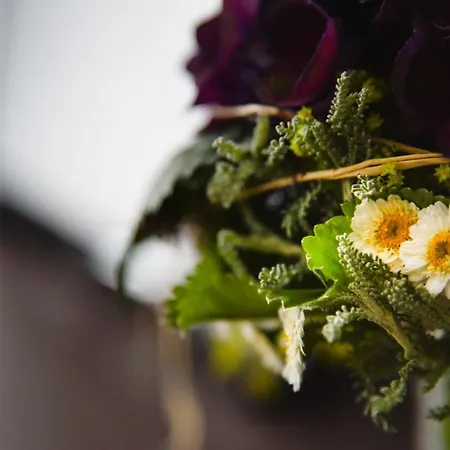 Отель Pension Brenz *