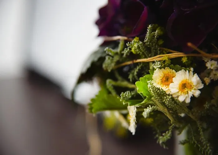 Hotel Pension Brenz *